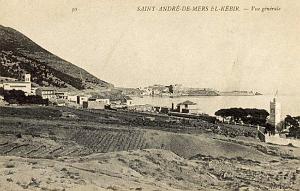 ROSSEVILLE A ST ANDRE  (31)
